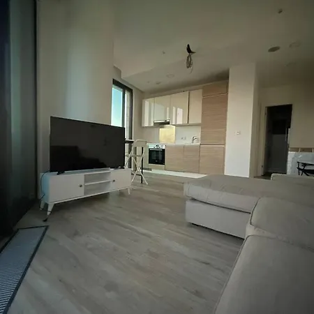 Newada 1+1 With Pool View 公寓 伊斯坦布尔